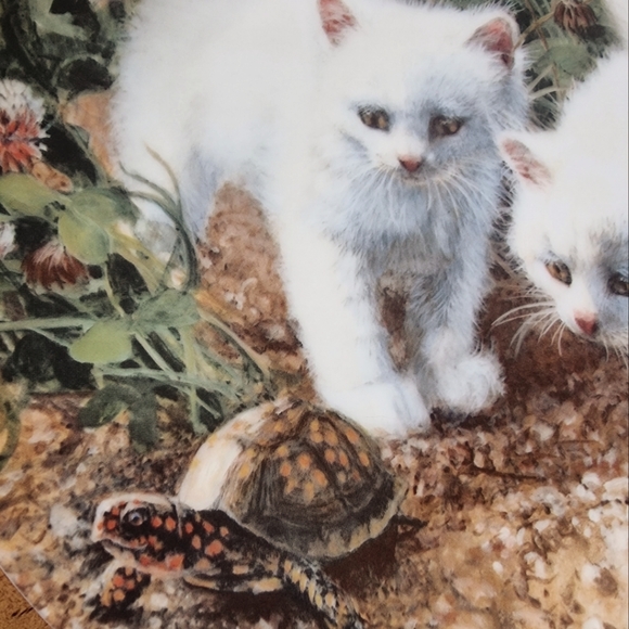 1987 White Kittens Collectors Plate 'A Chance Meeting' Vintage - Picture 4 of 4